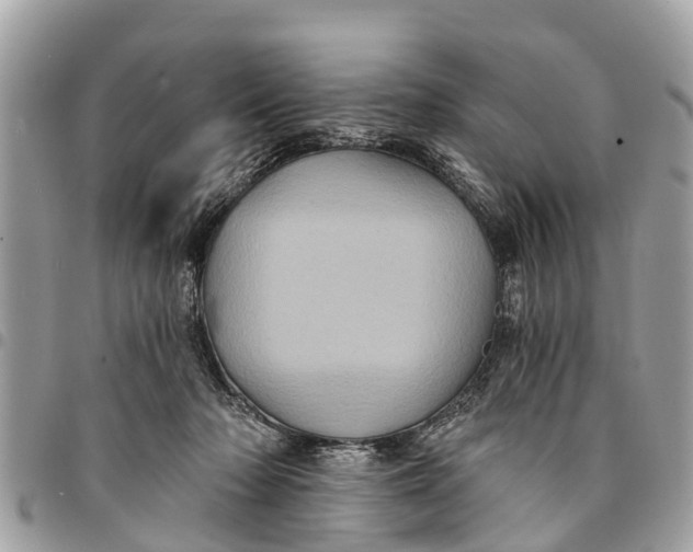 X0000094420318200711291556