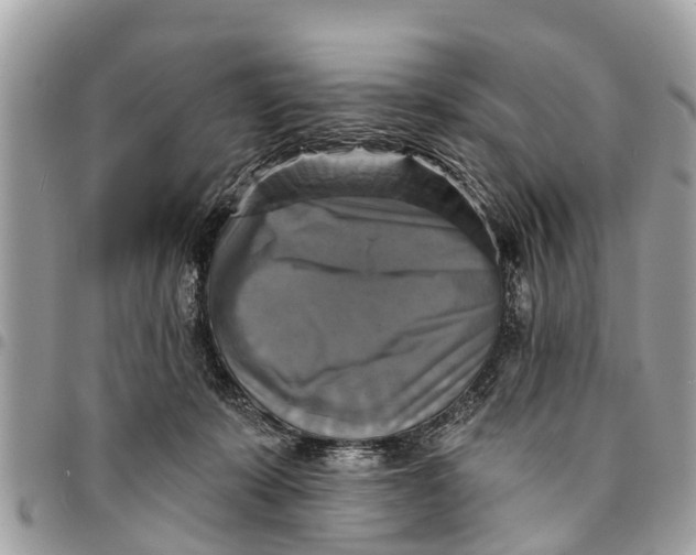 X0000094420319200711291556