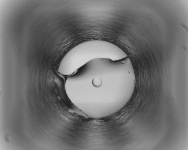 X0000094420320200711291556