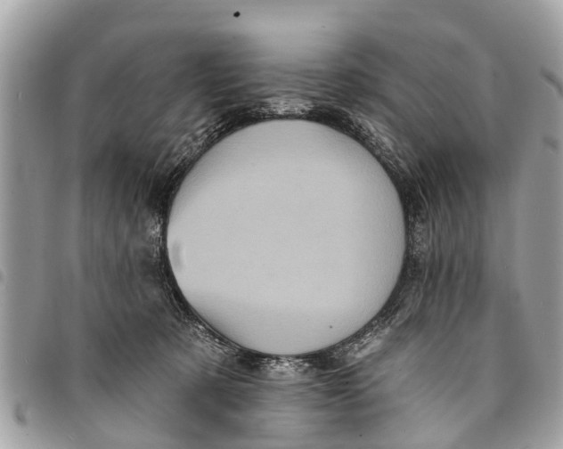 X0000094420321200711291556