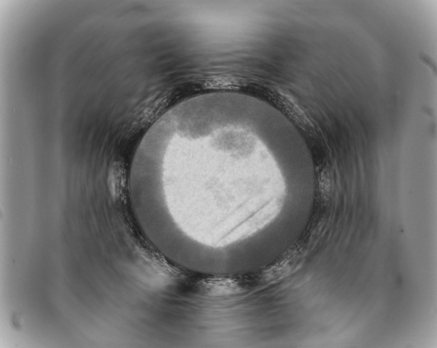 X0000094420322200711291556