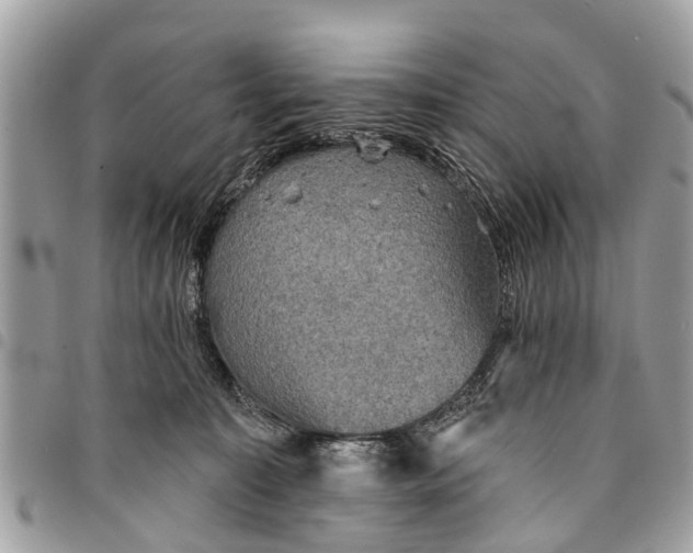 X0000094420323200711291556