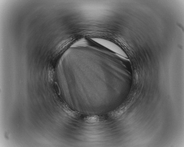 X0000094420325200711291556