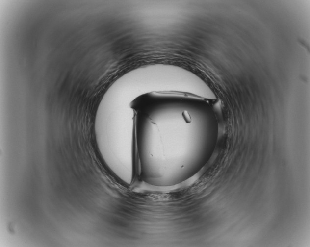 X0000094420328200711291556