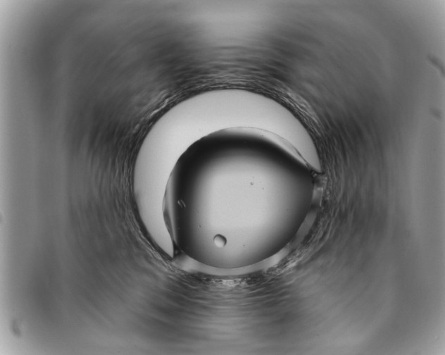 X0000094420329200711291556