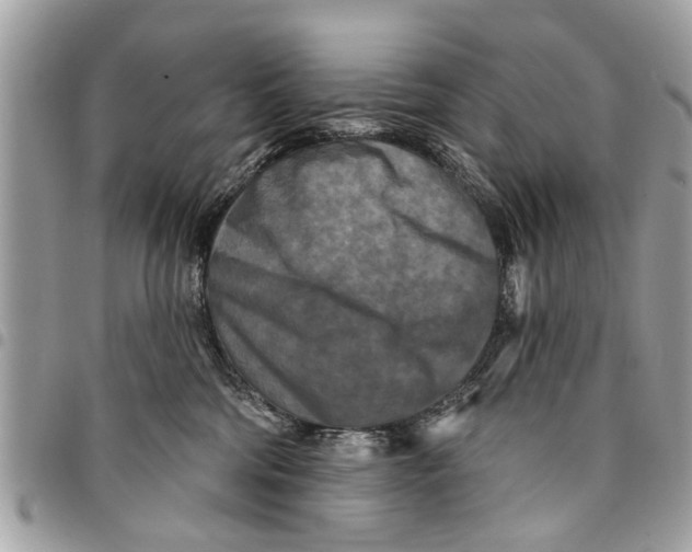 X0000094420330200711291556