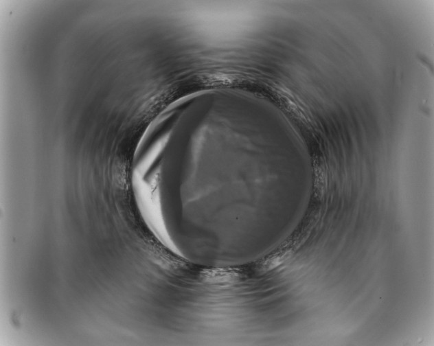 X0000094420331200711291556