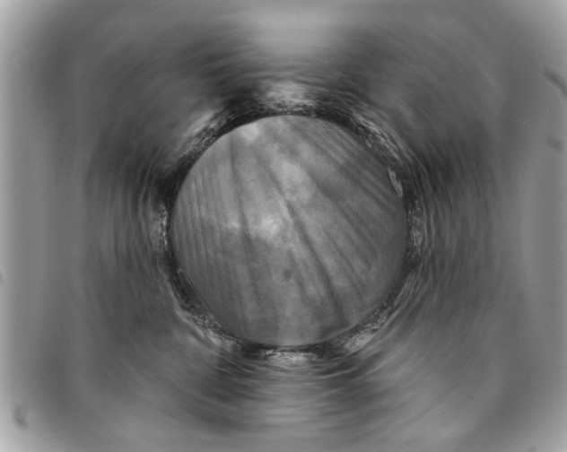 X0000094420332200711291556