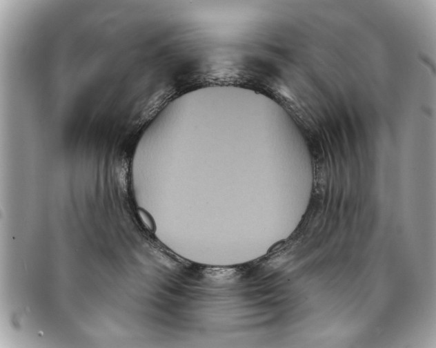 X0000094420334200711291556