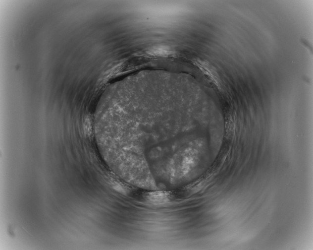 X0000094420335200711291556