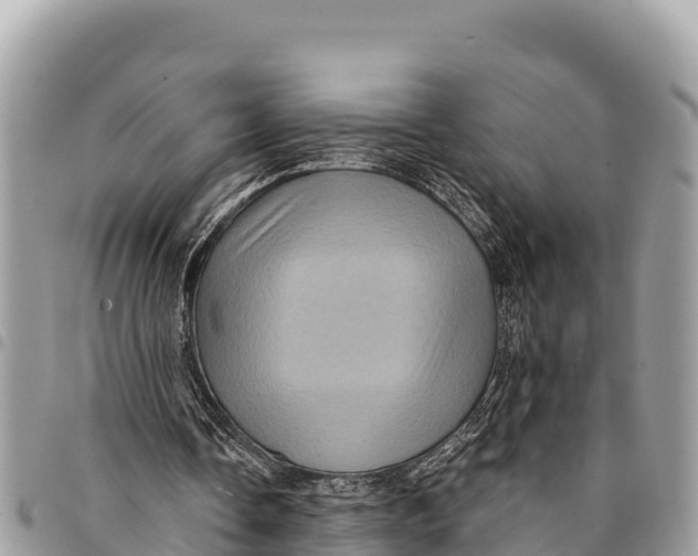 X0000094420338200711291555