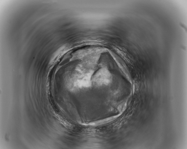 X0000094420339200711291555