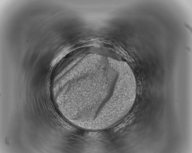 X0000094420341200711291555