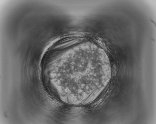 X0000094420342200711291555