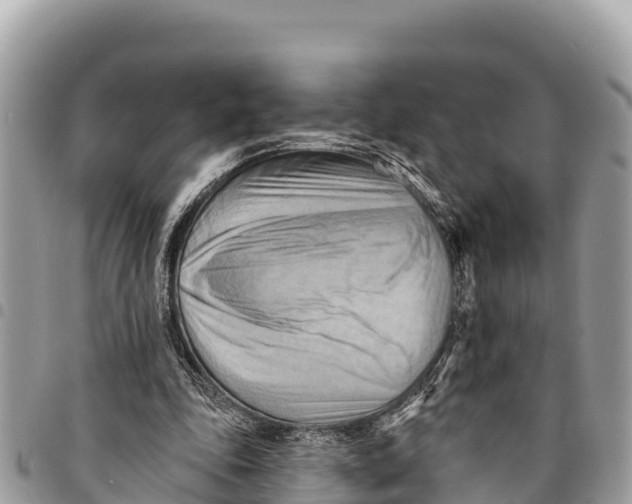 X0000094420343200711291555