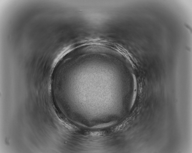 X0000094420344200711291555