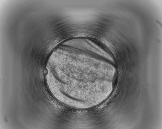 X0000094420345200711291555