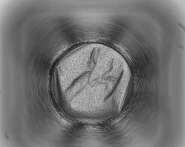 X0000094420346200711291555