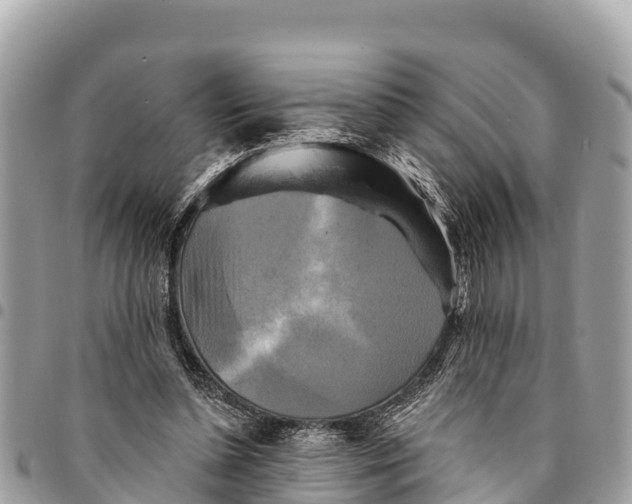 X0000094420348200711291555