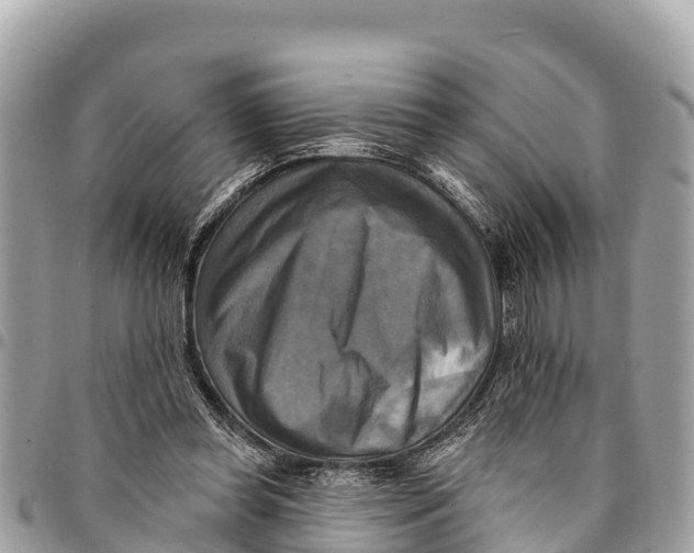 X0000094420349200711291555