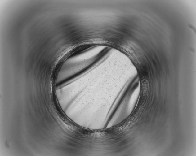 X0000094420350200711291555