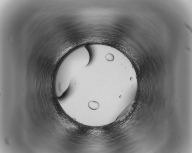 X0000094420352200711291555