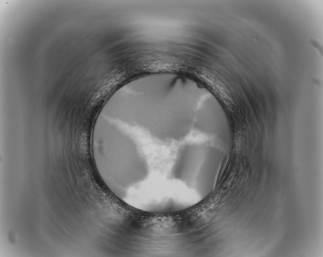 X0000094420353200711291555