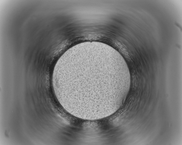 X0000094420354200711291555