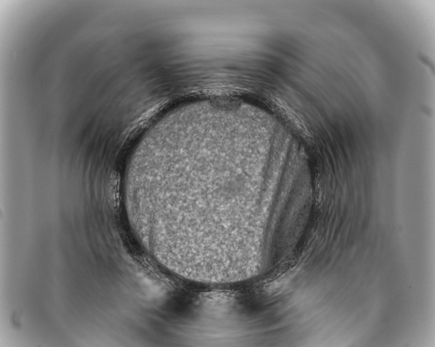 X0000094420356200711291555