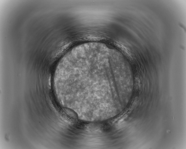 X0000094420358200711291555