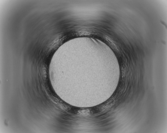 X0000094420362200711291555