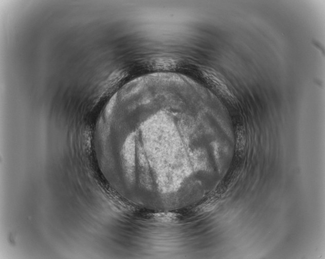 X0000094420363200711291555