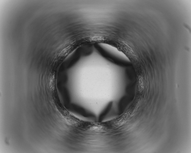 X0000094420364200711291555