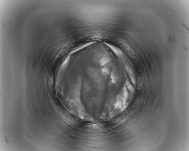 X0000094420365200711291555