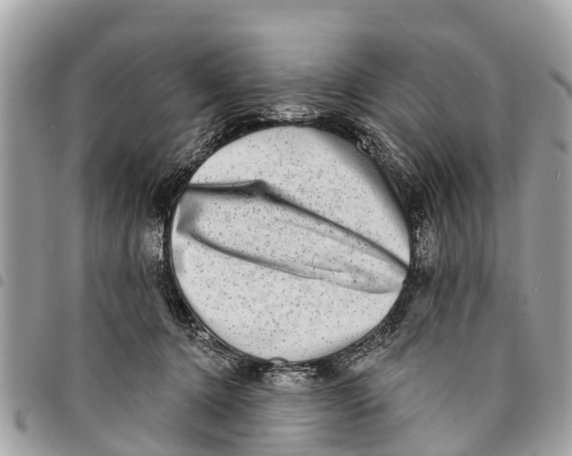 X0000094420368200711291555