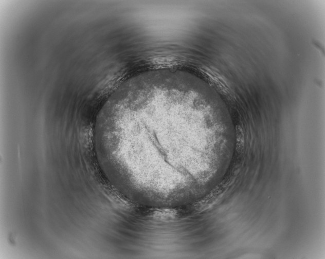 X0000094420369200711291555