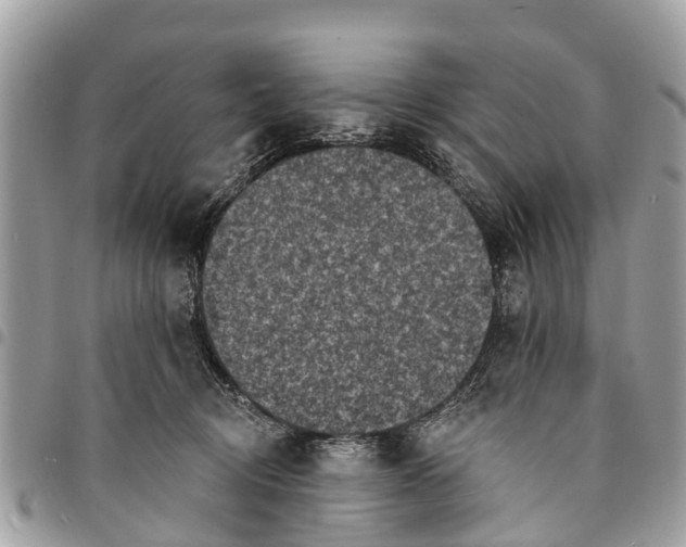 X0000094420370200711291555