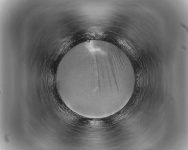 X0000094420371200711291556