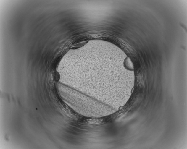 X0000094420373200711291556