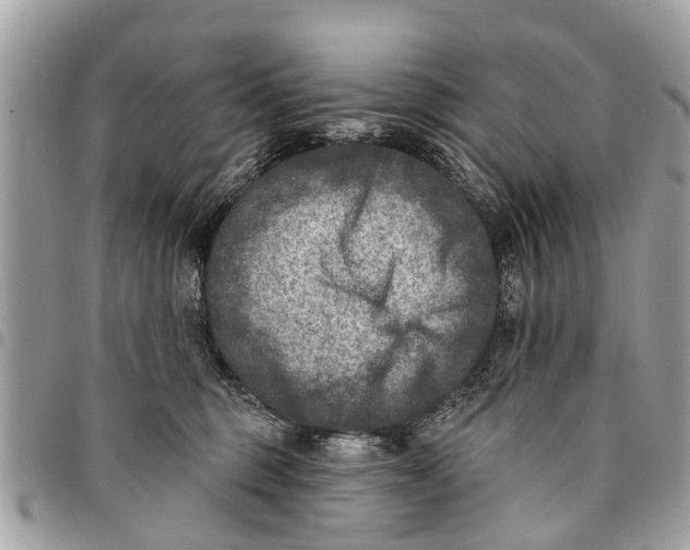 X0000094420375200711291556