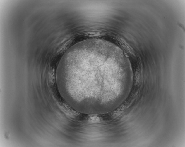 X0000094420376200711291556