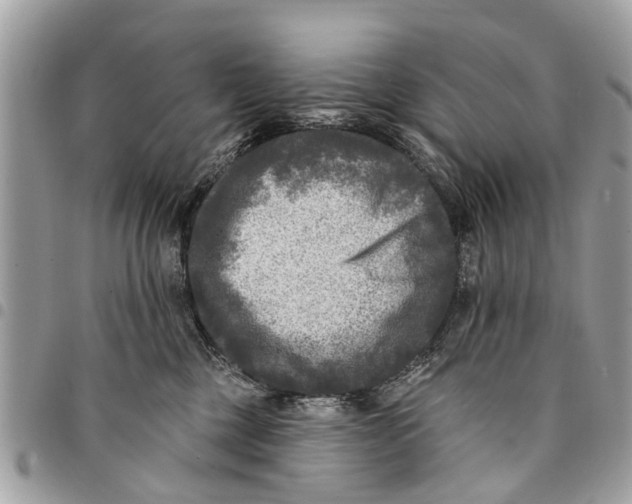 X0000094420377200711291556