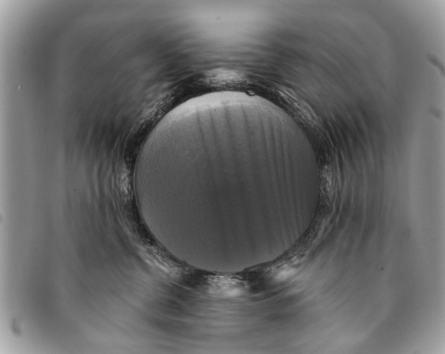 X0000094420380200711291556