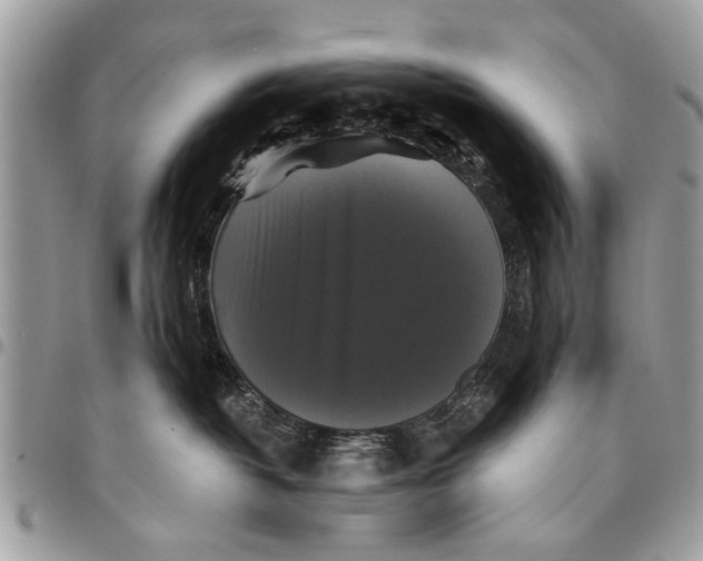 X0000094420382200711291556