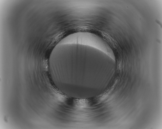 X0000094420383200711291556