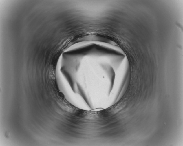 X0000094420384200711291556