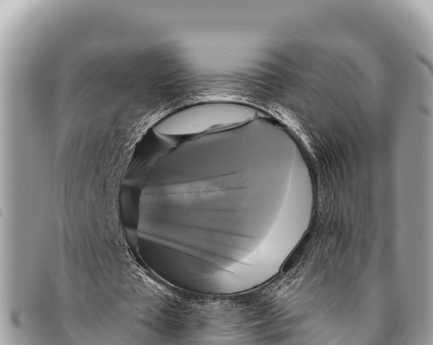 X0000094420385200711291555