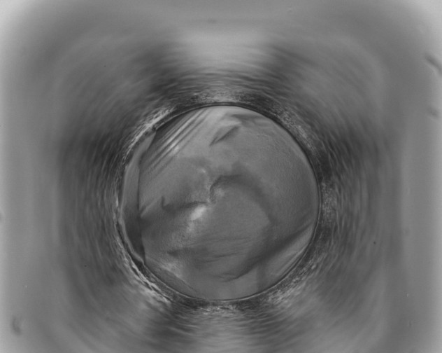 X0000094420386200711291555