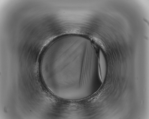 X0000094420388200711291555