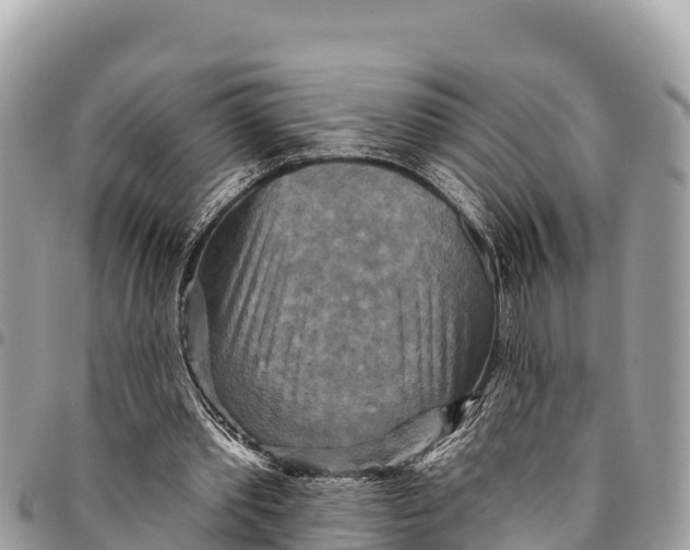 X0000094420389200711291555